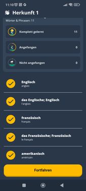 In der Lektionsübersicht siehst du, welche Vokabeln einer Kategorie du schon gelernt hast – und welche noch fehlen. Hier sieht alles gut aus.