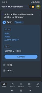 Wlingua erklärt dir schon vor einer Lektion in der Lektionsübersicht, was du jetzt gleich lernen möchtest – inkl. aller Vokabeln. Hast du darauf keine Lust, wählst du einfach eine andere Übung.