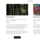 Deine Leistungen oder Produkte kannst du auf die gleiche Art und Weise schön in Szene setzen. Auch für diese Page habe ich wieder eigene Texte geschrieben und die Buttons mit Links zu den entsprechenden Seiten hinzufügt. Die Bearbeitung lief ohne Probleme.