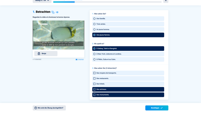 Bei “Apprendre avec TV5 Monde” schaust du ein Video – oft aus dem TV-Programm – und beantwortest dann Fragen dazu.