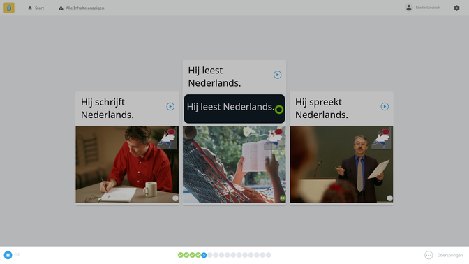 Die Spracherkennung ist das Meisterstück von Rosetta Stone. Die angezeigten Sätze sprichst du nach; in schwarz wird eingeblendet, was du gesagt hast. Anhand des grünen Kreises kannst du erkennen, wie gut du abgeschnitten hast. Gelb bietet Verbesserungspotential, ist aber okay – und bei rot musst du wiederholen.