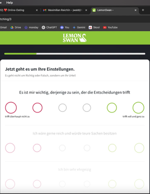 Der Persönlichkeitstest bei LemonSwan ist super easy. Es geht darum, intuitiv Fragen auf einer Skala anzukreuzen. Das Ganze dauert um die 20 Minuten.