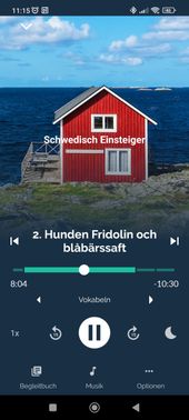 Der Audioplayer von Jicki sieht aus wie eine handelsübliche, moderne Musik-App.